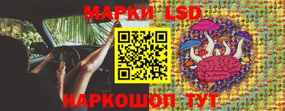 индика Шебекино