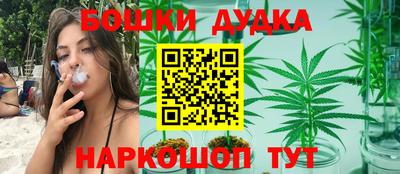 индика Шебекино