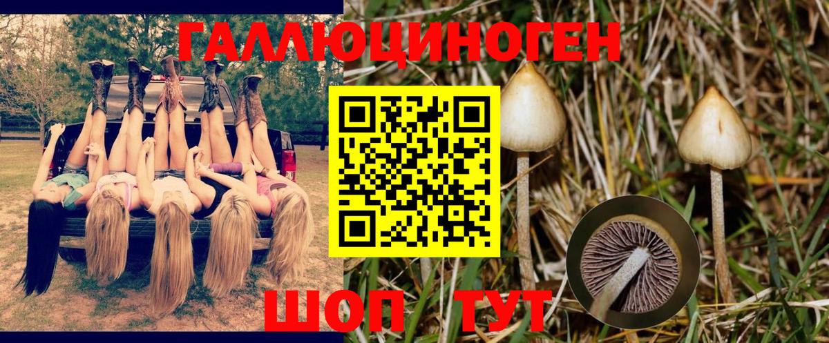 Псилоцибиновые грибы Magic Shrooms Искитим